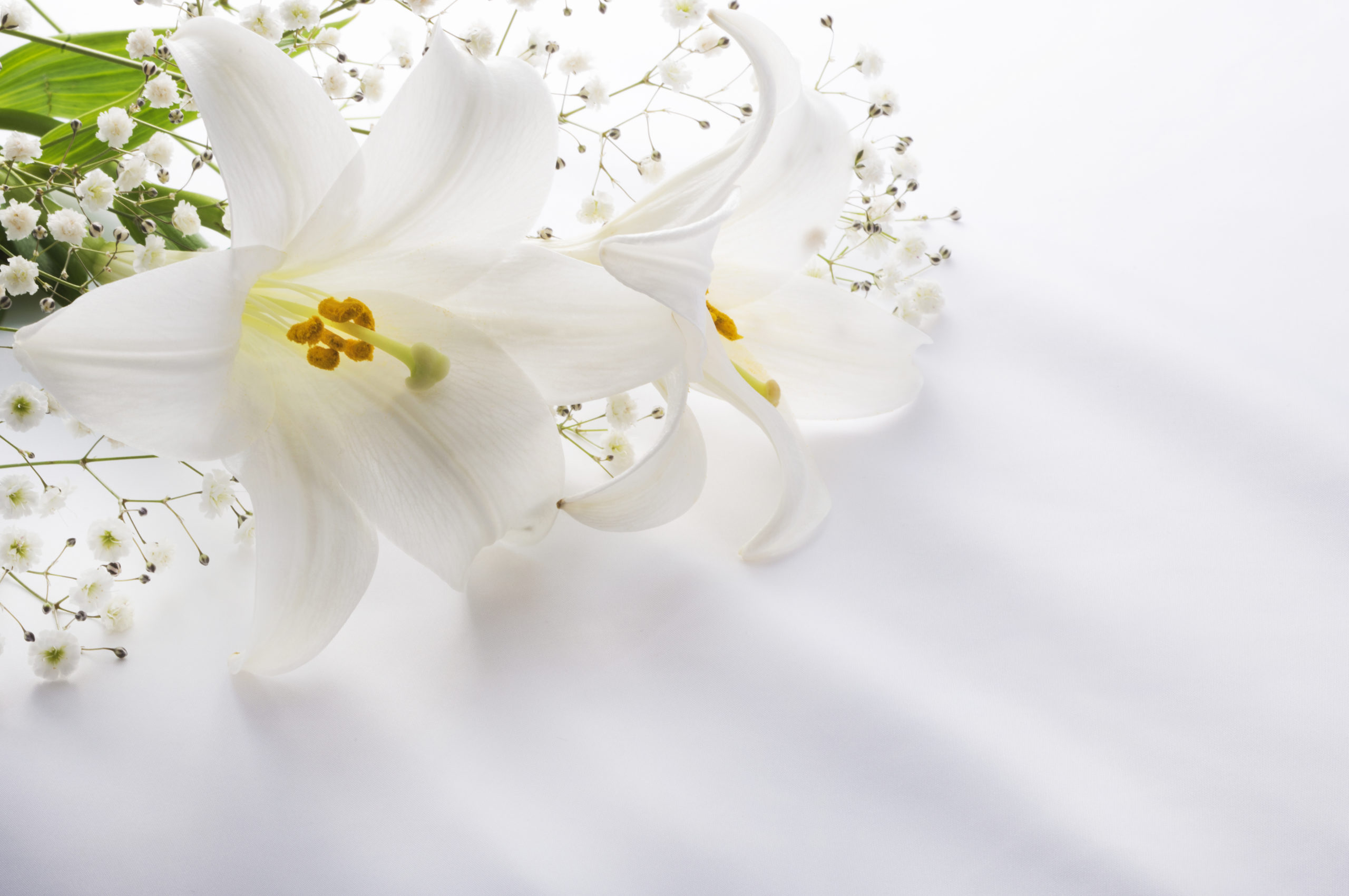 創価学会の葬儀「友人葬」における香典のマナーとは？表書きや内袋の書き方を詳しくご紹介します